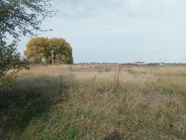  - фото нерухомості